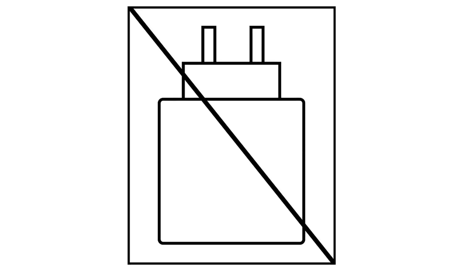 USB-C charging case icon diagram with two plugs