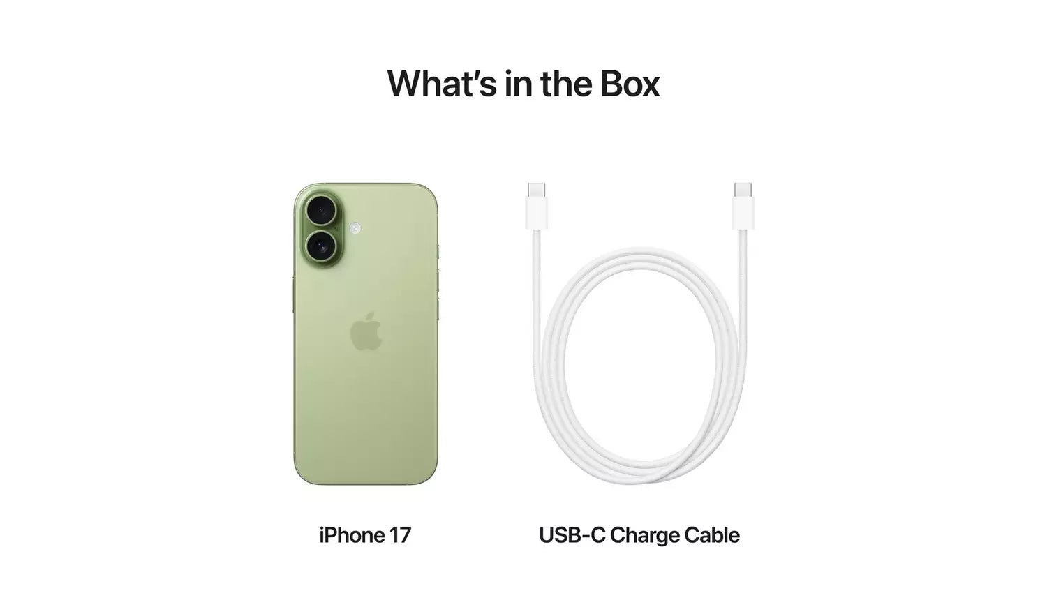 iPhone 17 5G 256GB in Sage with USB‑C charge cable